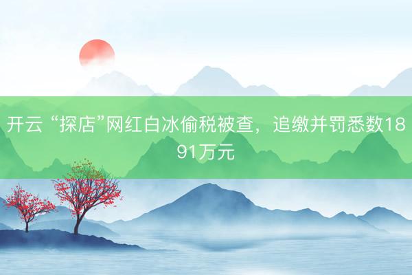 开云 “探店”网红白冰偷税被查，追缴并罚悉数1891万元